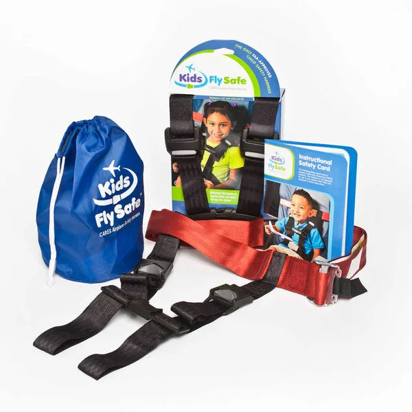 Airplane Safety Harness