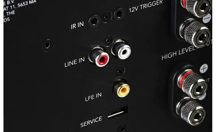 Definitive Technology Descend DN15