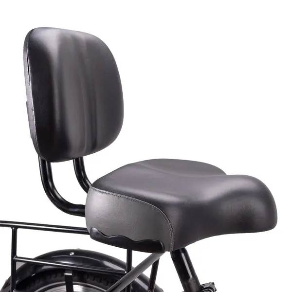 Nakto S02  750W Step-Thru Electric Trike