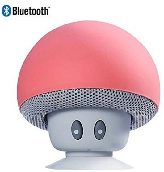 Sainsonic Mini Wireless Bluetooth Speaker (available: pink & aqua green)